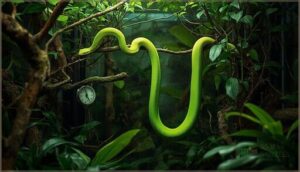 rough green snake (opheodrys aestivus) rough green snake (opheodrys aestivus)