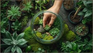 selecting plants for your terrarium selecting plants for your terrarium