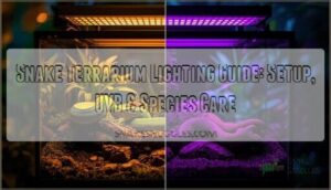 snake terrarium lighting guide snake terrarium lighting guide