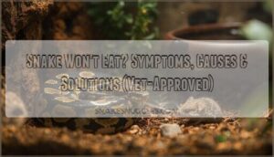 snake won't eat symptoms snake won't eat symptoms