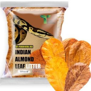 Tender Tropicals Leaf Litter for B0DY6JBY8S