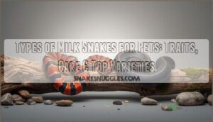 types of milk snakes for pets types of milk snakes for pets