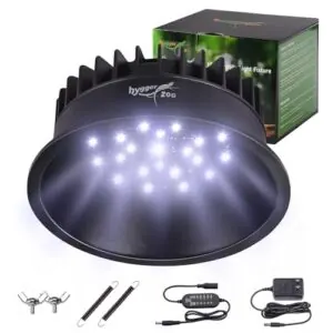 UVB Light for Reptiles, UVA B0F5HSKK3P