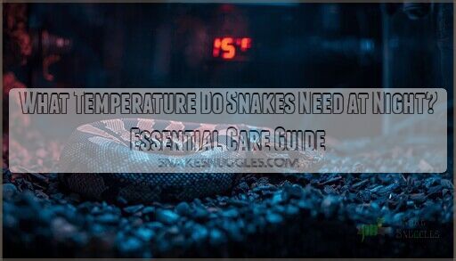 What Temperature Do Snakes Need at Night? Essential Care Guide