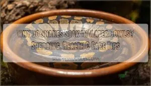 why do snakes soak in water bowls why do snakes soak in water bowls