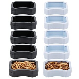 10 Pack Reptile Water Food B0BPXYCYQT