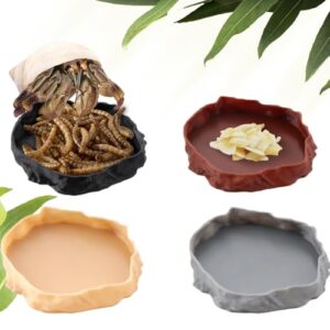 4 Pack Hermit Crab Food B0F18K6R4H