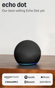 Amazon Echo Dot (newest model) B09B8V1LZ3