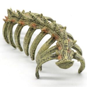 Aquarium Skull Animal Skeletons, Reptile B0DPH8QZ1J