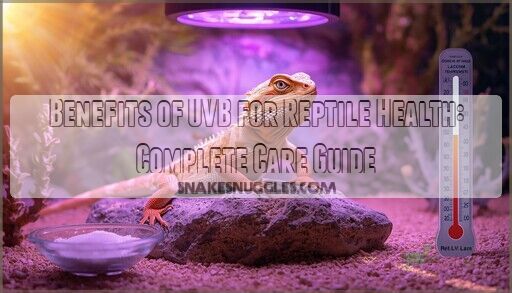 Benefits of UVB for Reptile Health: Complete Care Guide - Temperature And Reptile Health