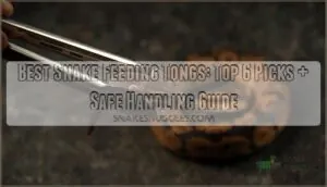 best snake feeding tongs best snake feeding tongs