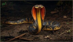 body inflation and size exaggeration body inflation and size exaggeration