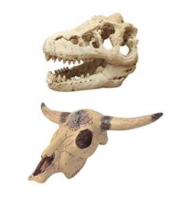 Desert Reptile Decor Skull Fish B0BKZTTQ6V