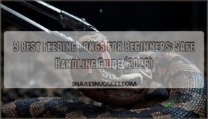 feeding tongs for beginners