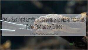 how far should you stay when feeding snake how far should you stay when feeding snake