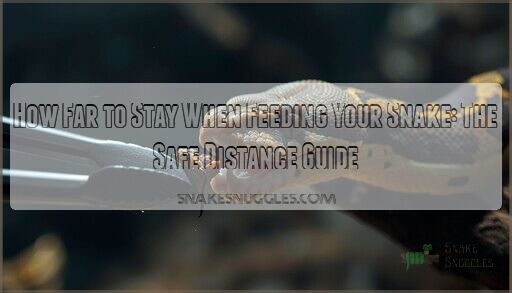 How Far to Stay When Feeding Your Snake: The Safe Distance Guide