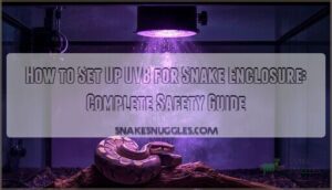 how to set up uvb for snake enclosure how to set up uvb for snake enclosure