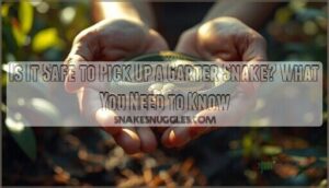 is it safe to pick up a garter snake is it safe to pick up a garter snake