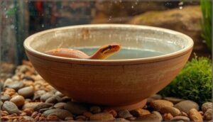 key features of the best water bowls key features of the best water bowls