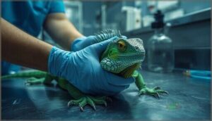 managing reptile health emergencies managing reptile health emergencies