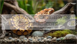 most popular pet snake breeds most popular pet snake breeds