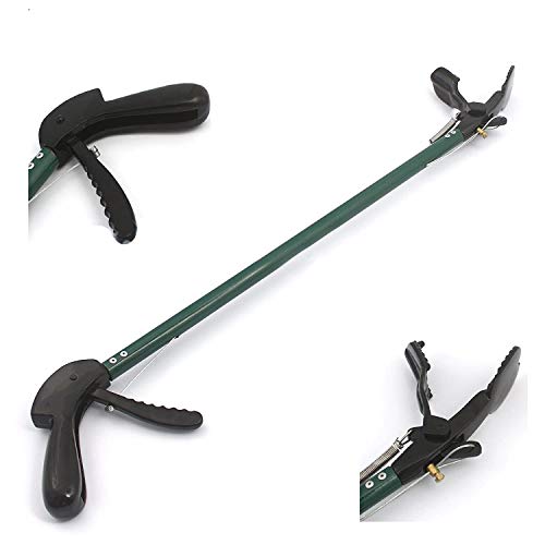 OdontoMed2011® 30 (ONE Piece) Snake