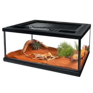 Reptile Glass Terrarium Tank 12"*8"*6",Small B0CHVQTQDZ