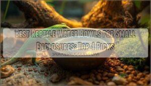 reptile water bowls for small enclosures reptile water bowls for small enclosures
