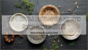reptile water dishes for corn snake owners reptile water dishes for corn snake owners