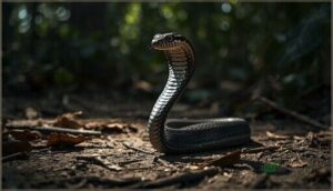 s-shaped coiling and posture s-shaped coiling and posture