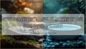 should snake water bowl be in warm or cool side