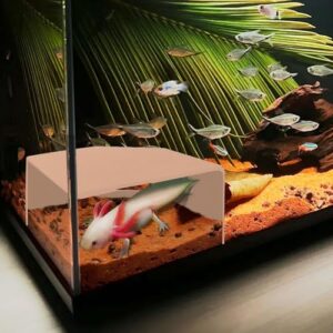 Shrimp Cave for Aquarium Tanks B0F1N59961