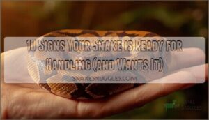 signs snake wants handling signs snake wants handling