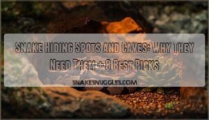 snake hiding spots and caves snake hiding spots and caves