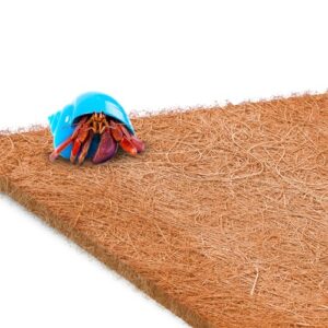 SunGrow Coco Fiber Hermit Crab B07GKPKMD8