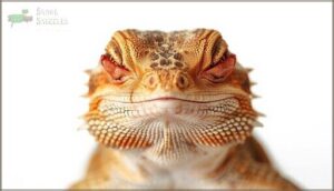 vitamin a deficiency indicators vitamin a deficiency indicators