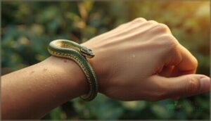 what to do if bitten by a garter snake what to do if bitten by a garter snake