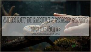 when not to handle snake