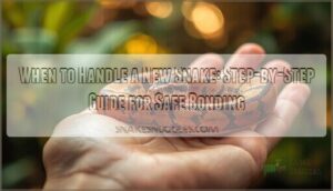 when to handle new snake