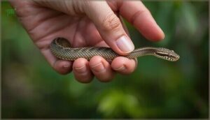 where to place your hands on the body where to place your hands on the body