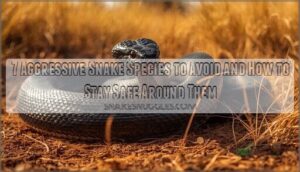aggressive snake species avoid aggressive snake species avoid
