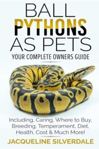 Ball Pythons as Pets 1979824789