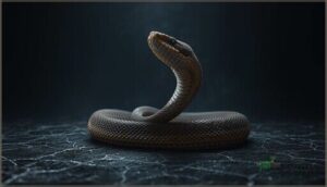 behavioral and neurological signs behavioral and neurological signs