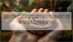 best beginner snake temperament best beginner snake temperament