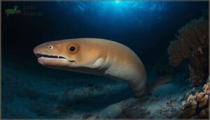 body shape and size body shape and size