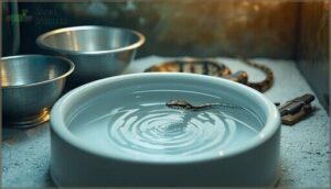 choosing and maintaining water bowls choosing and maintaining water bowls