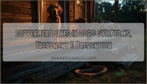 copperhead snakes biting dogs helpful information copperhead snakes biting dogs helpful information