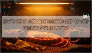 corn snake lighting setup guide corn snake lighting setup guide