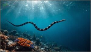 dubois’ sea snake: oceanic lethality dubois’ sea snake: oceanic lethality