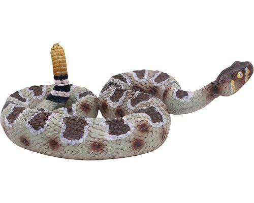 Rattlesnake Rattle Formation: Growth, Sound & Science